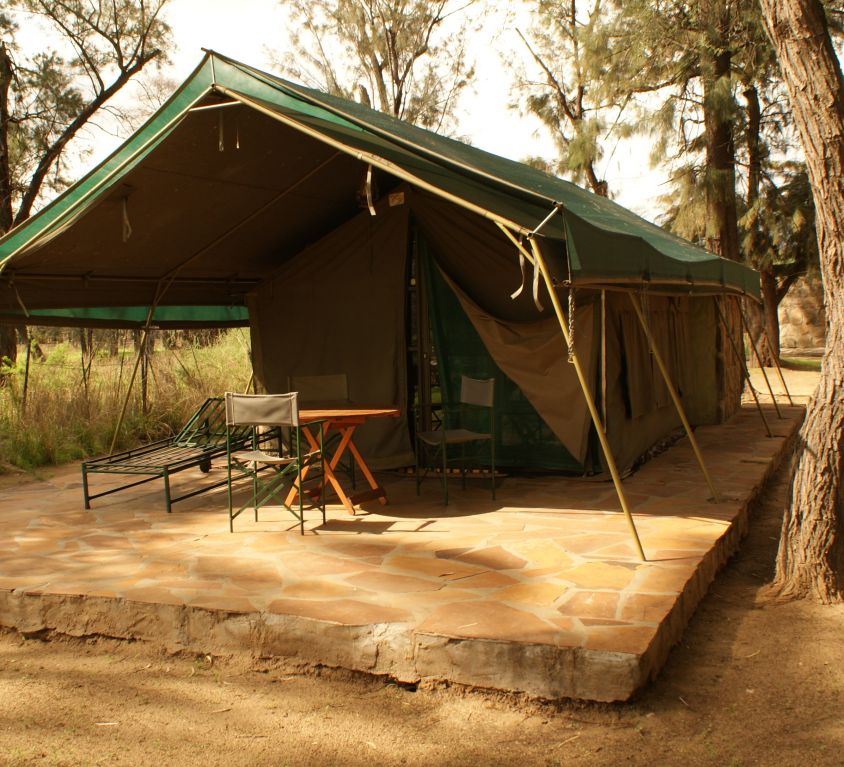 Safari Zelte