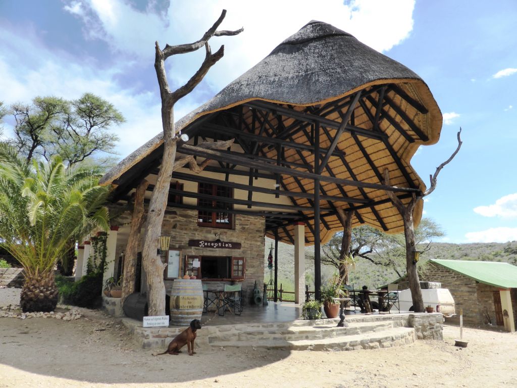 Information for Day Guests